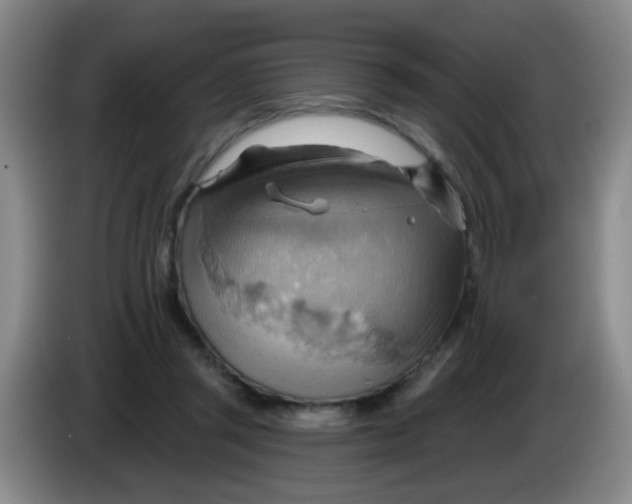 X0000083970357200703091807