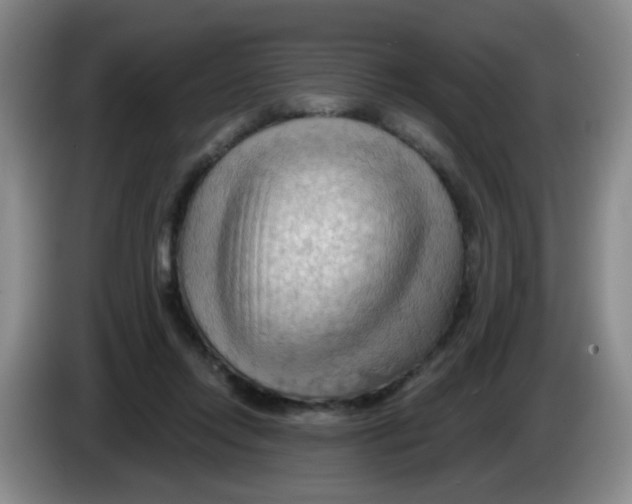 X0000083970358200703091808