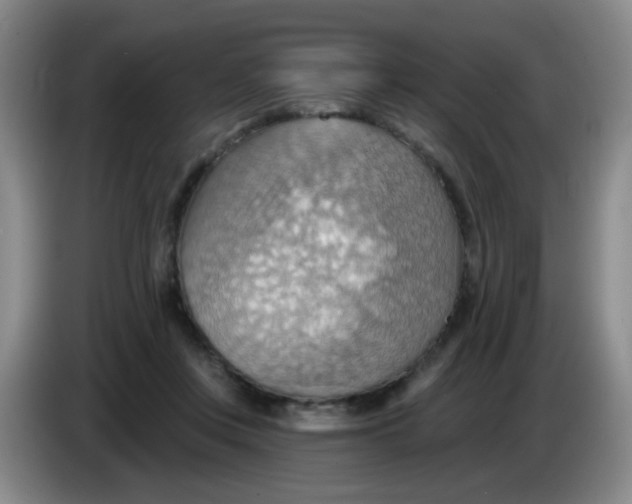 X0000083970359200703091808