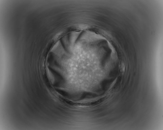 X0000083970360200703091808