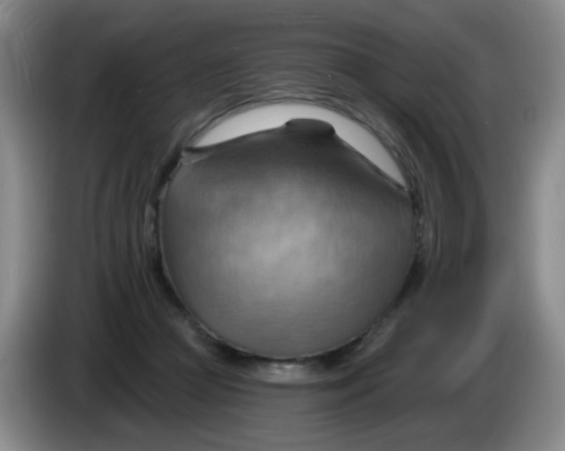 X0000083970361200703091808
