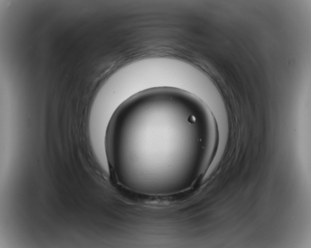 X0000083970362200703091808
