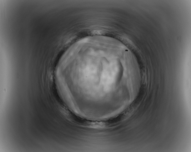 X0000083970363200703091808