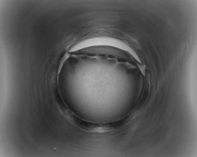 X0000083970364200703091808