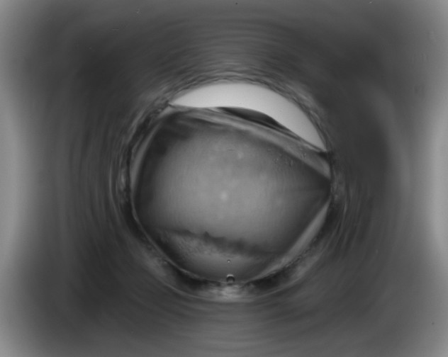 X0000083970365200703091808