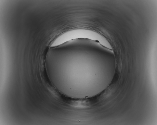 X0000083970366200703091808