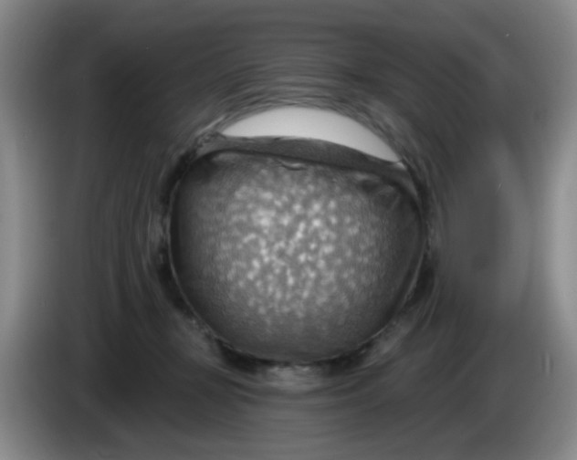 X0000083970367200703091808