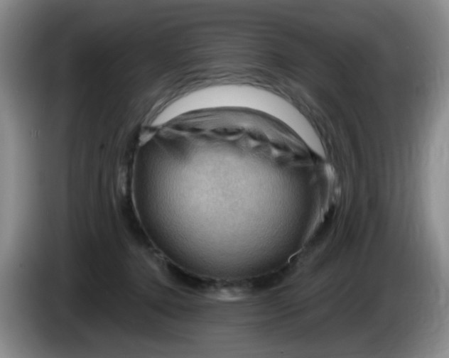 X0000083970368200703091808