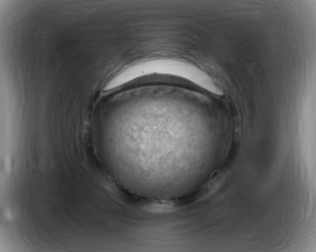 X0000083970369200703091808
