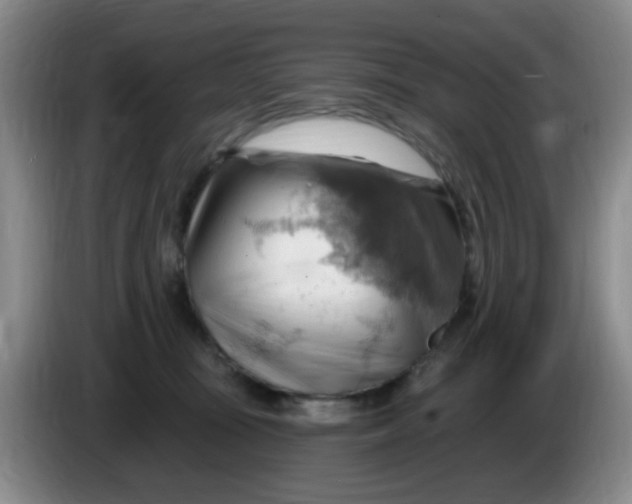 X0000083970371200703091808