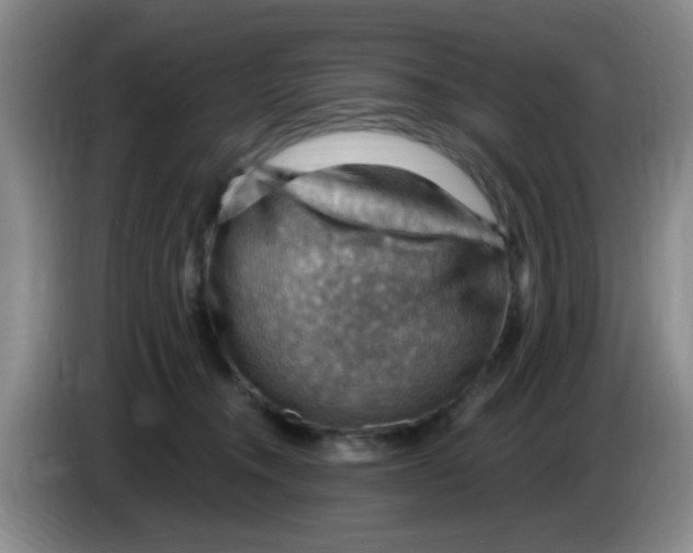 X0000083970372200703091808
