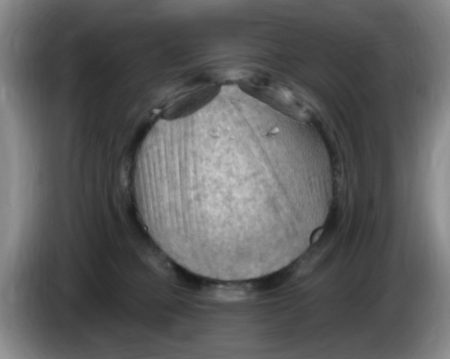 X0000083970373200703091808