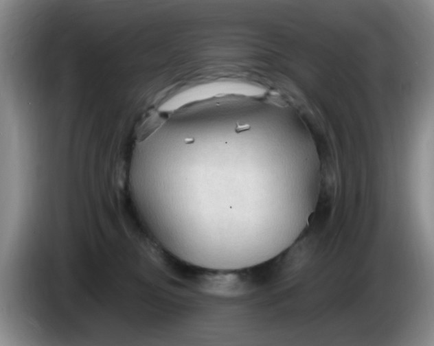 X0000083970374200703091808