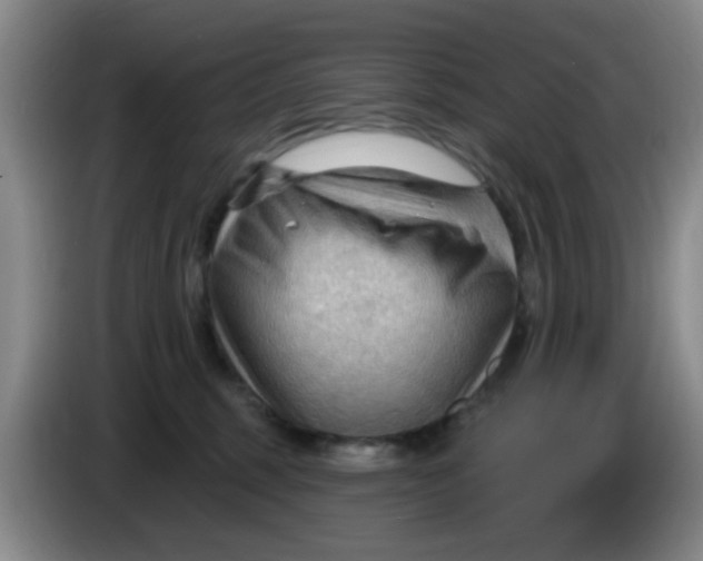 X0000083970375200703091808