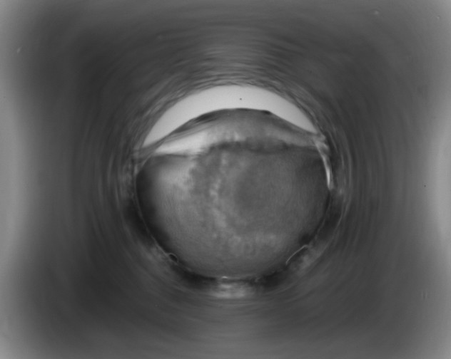 X0000083970376200703091808