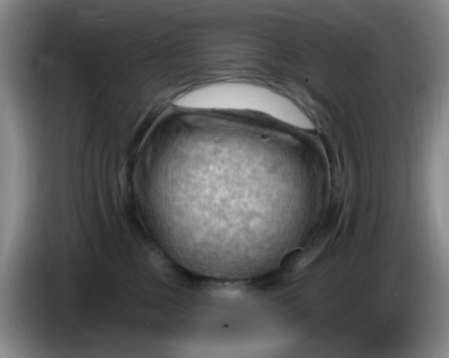 X0000083970377200703091808