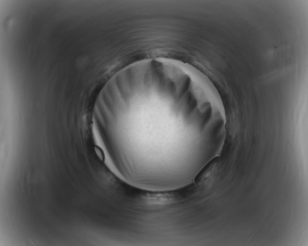 X0000083970378200703091808