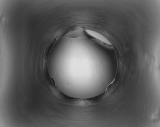 X0000083970379200703091808