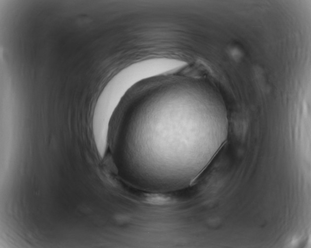 X0000083970380200703091808