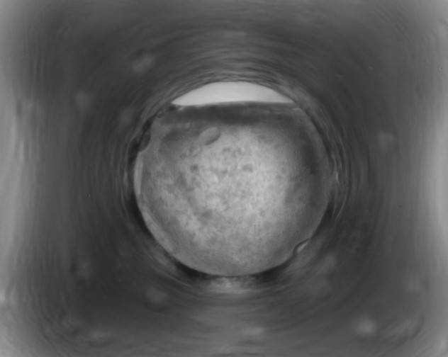 X0000083970381200703091808