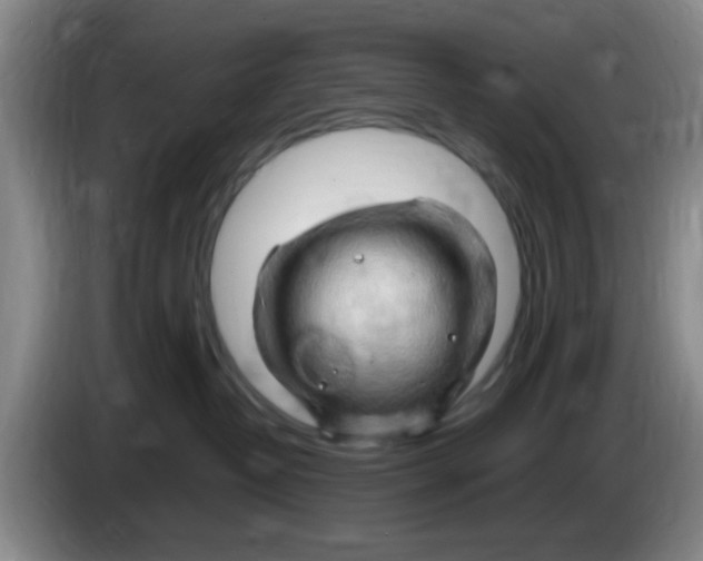X0000083970382200703091808