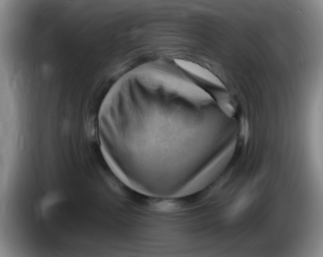 X0000083970383200703091808