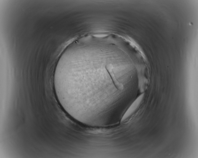 X0000083970385200703091807