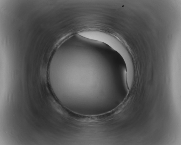 X0000083970386200703091807
