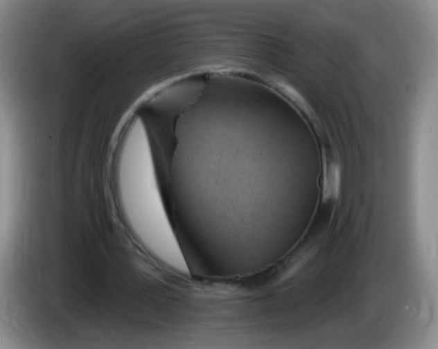 X0000083970387200703091807