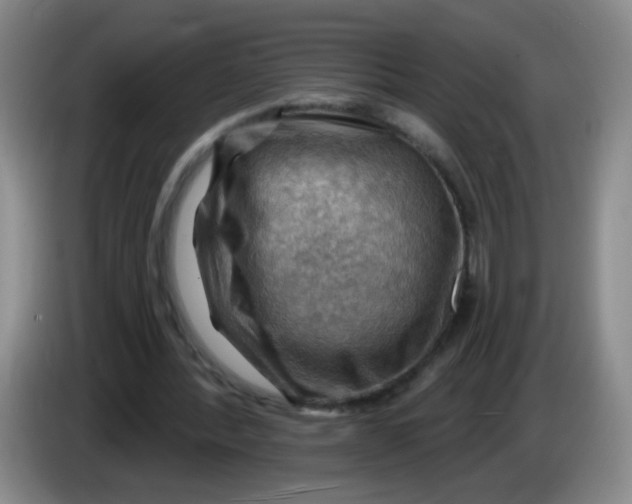X0000083970388200703091807
