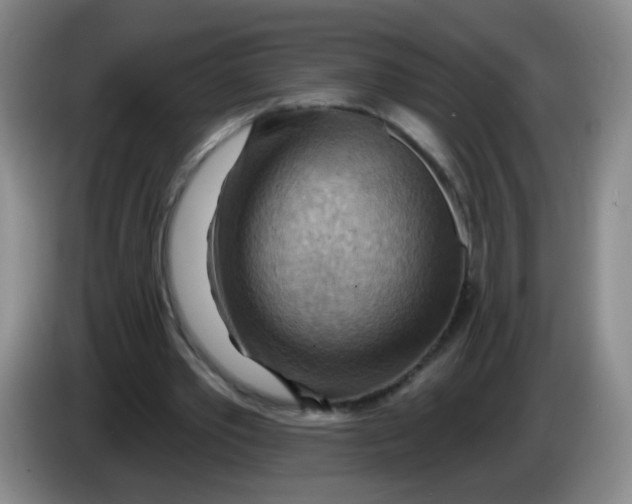 X0000083970389200703091807