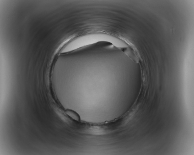 X0000083970390200703091807