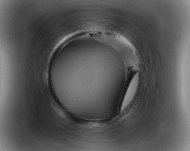 X0000083970391200703091807