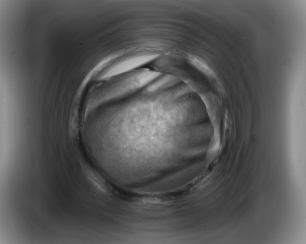 X0000083970392200703091807