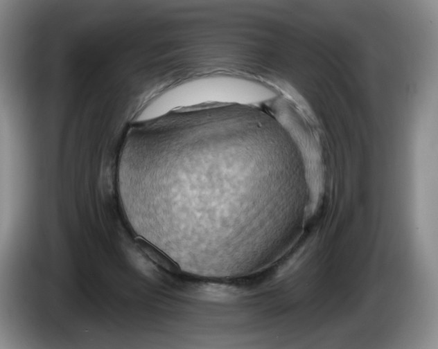 X0000083970393200703091807
