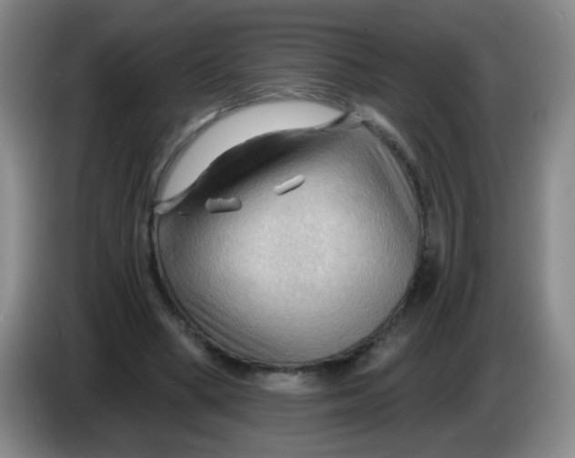 X0000083970394200703091807