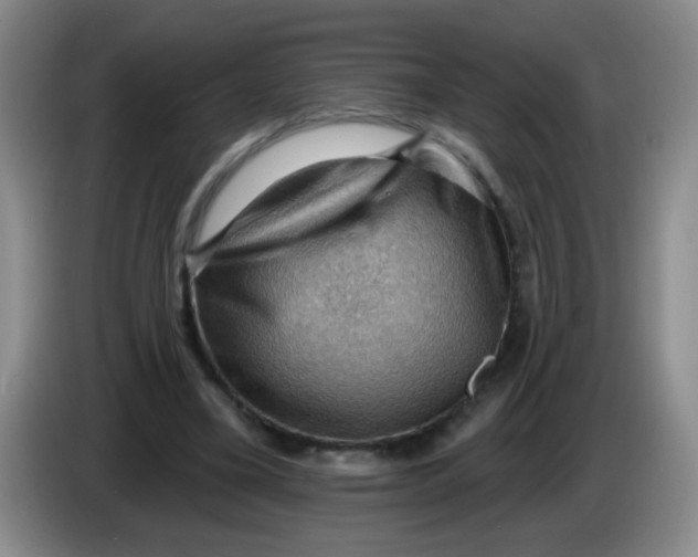 X0000083970395200703091807