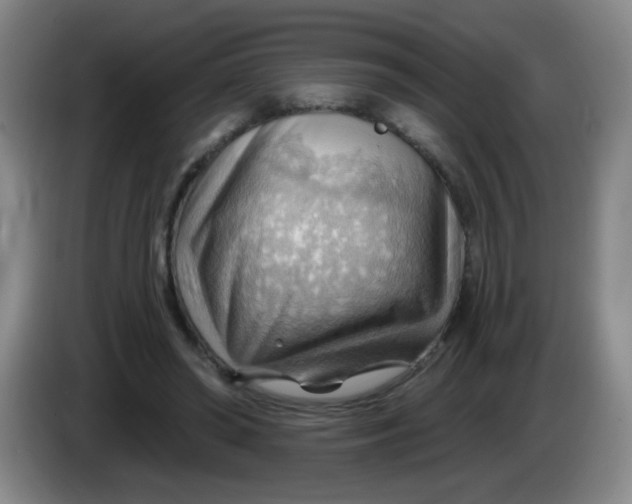X0000083970398200703091807