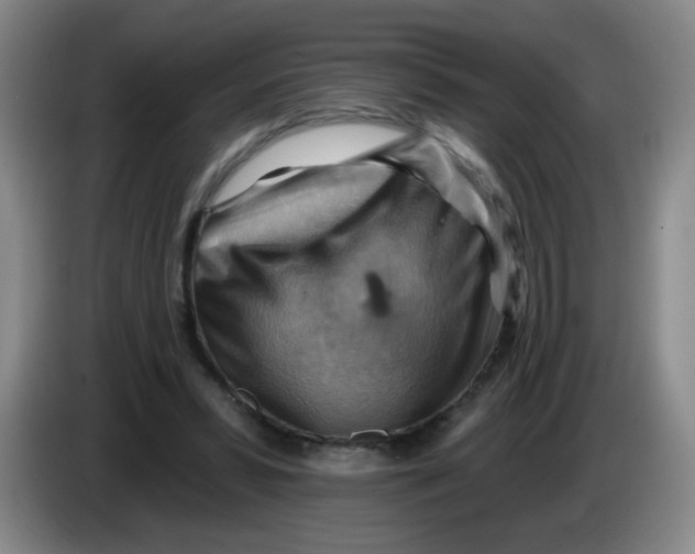 X0000083970399200703091807