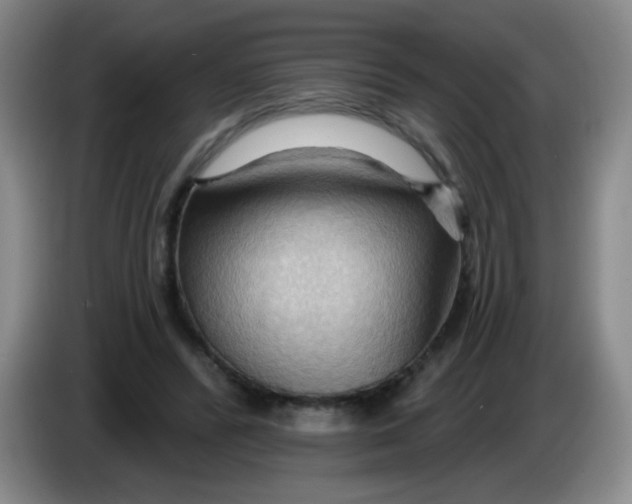 X0000083970400200703091807