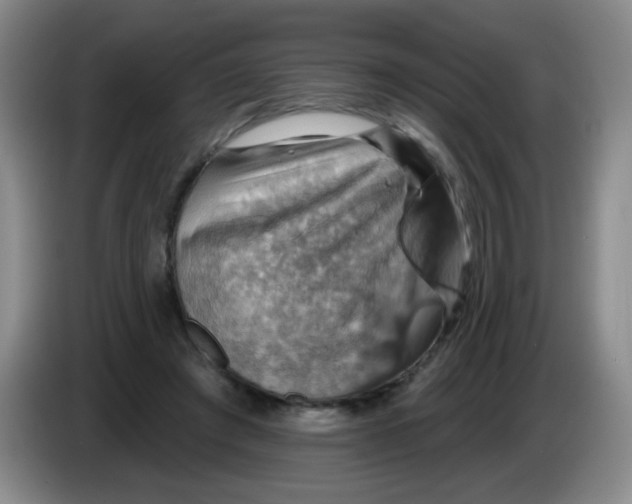 X0000083970401200703091807