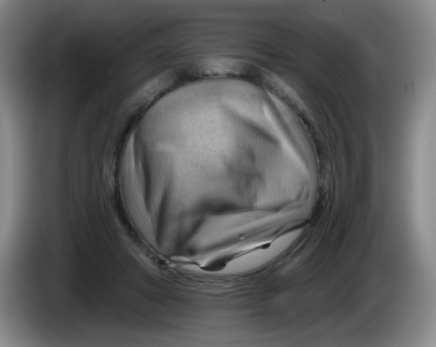 X0000083970402200703091807