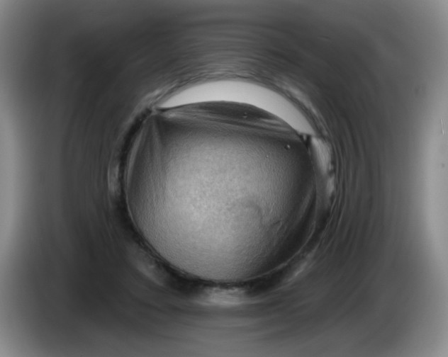 X0000083970403200703091807