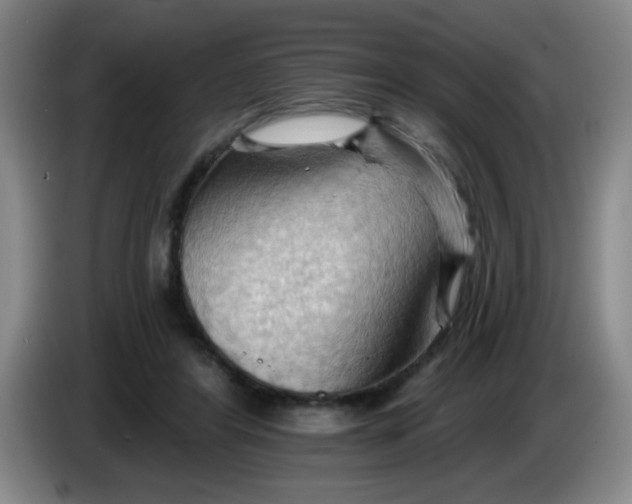 X0000083970404200703091807