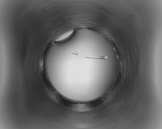 X0000083970406200703091807