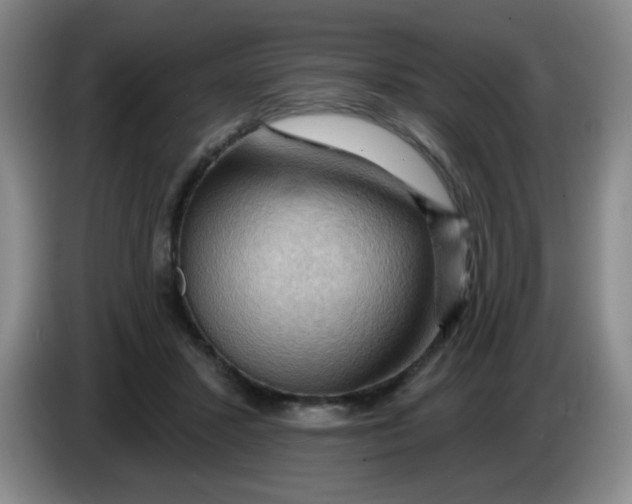 X0000083970407200703091807