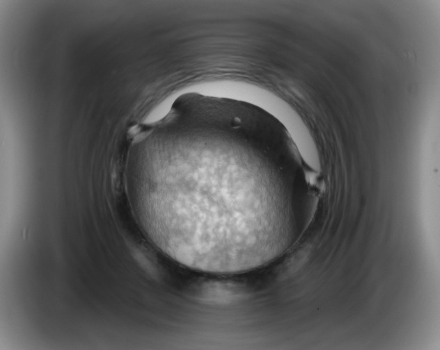 X0000083970408200703091807