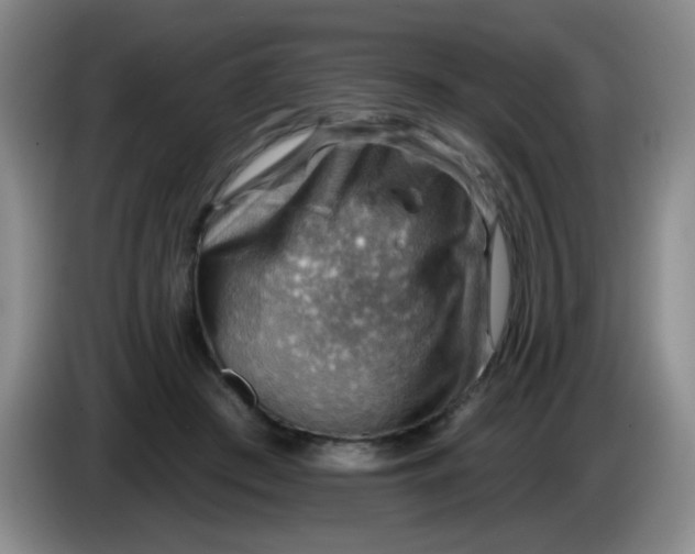 X0000083970409200703091807