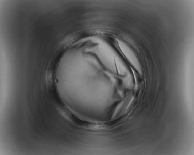X0000083970410200703091807