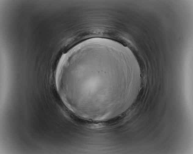 X0000083970411200703091807